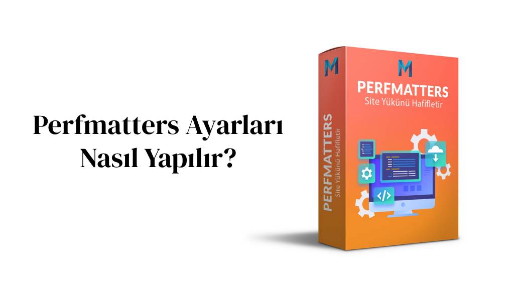 Perfmatters Ayarları